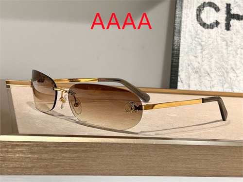 Chanel Sunglass(AAAA)-0888