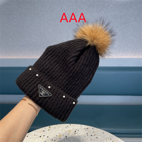 Chanel Beanies(AAA)-042
