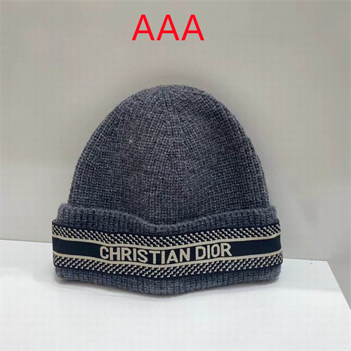 Dior Beanies(AAA)-011