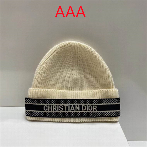 Dior Beanies(AAA)-012