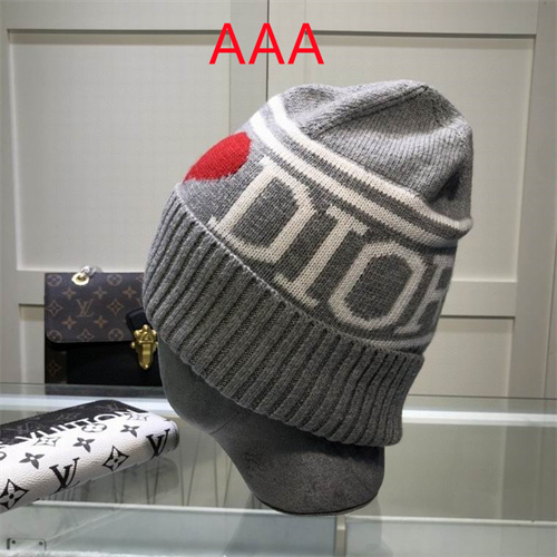 Dior Beanies(AAA)-015