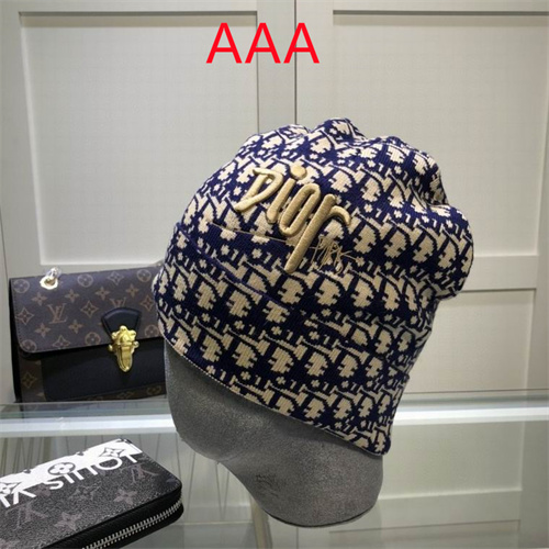 Dior Beanies(AAA)-019