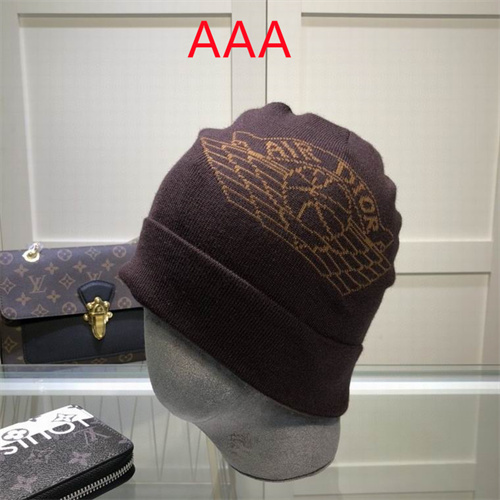 Dior Beanies(AAA)-021