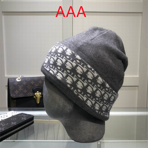 Dior Beanies(AAA)-028