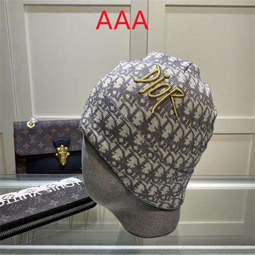 Dior Beanies(AAA)-037