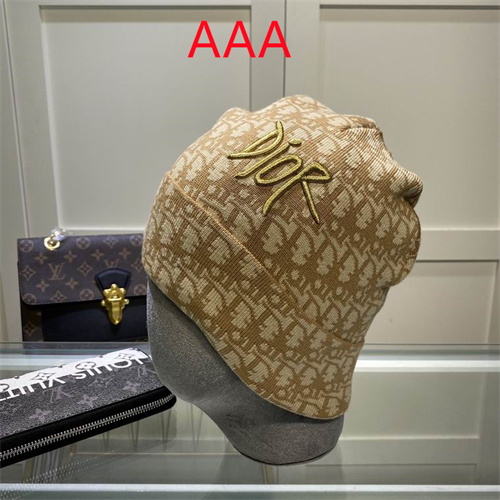 Dior Beanies(AAA)-044
