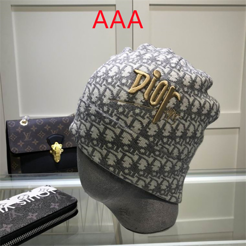 Dior Beanies(AAA)-046