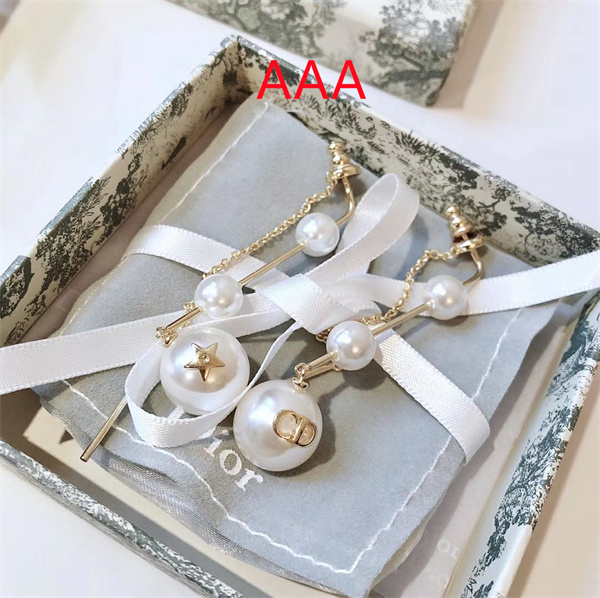 Dior Earrings-105
