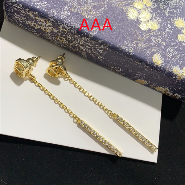 Dior Earrings-108