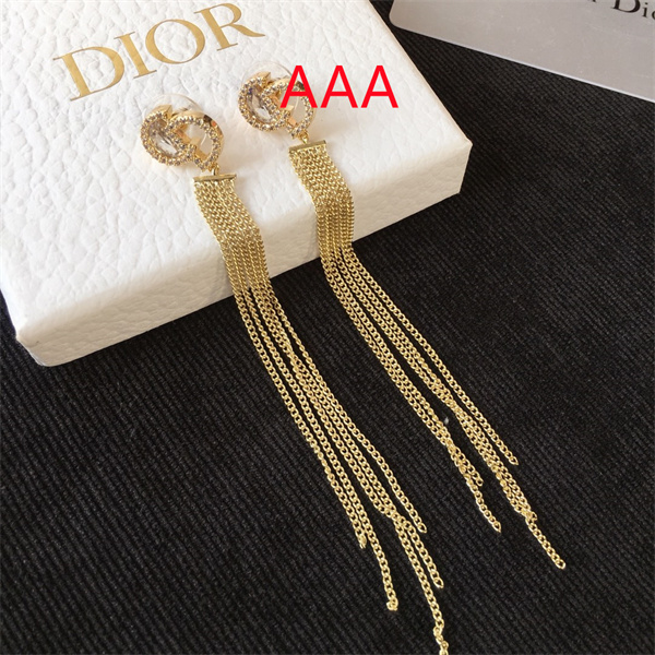 Dior Earrings-109