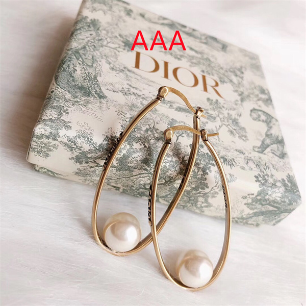 Dior Earrings-117