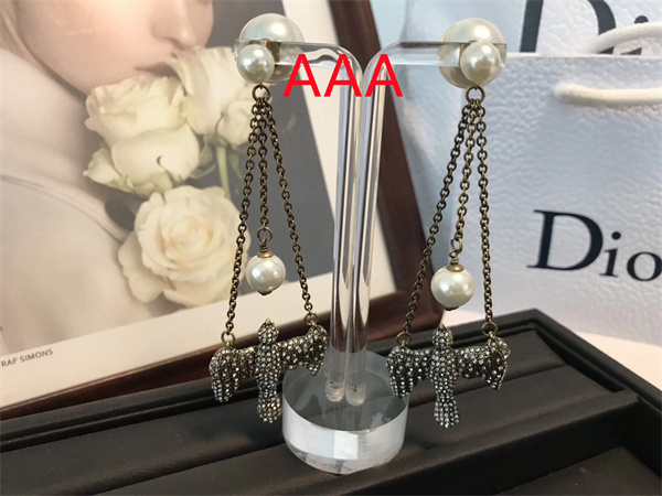 Dior Earrings-012