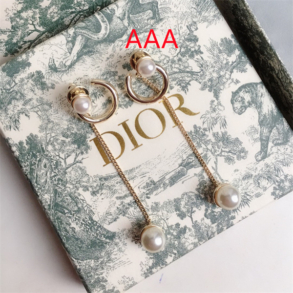 Dior Earrings-125