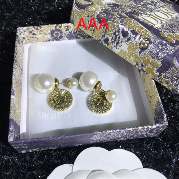 Dior Earrings-128