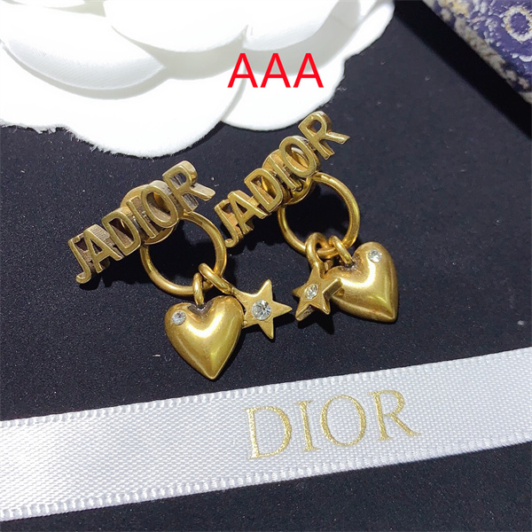 Dior Earrings-134