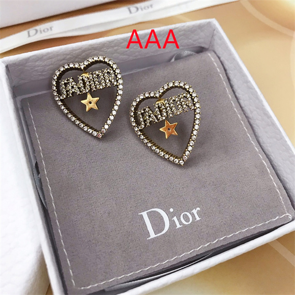 Dior Earrings-143