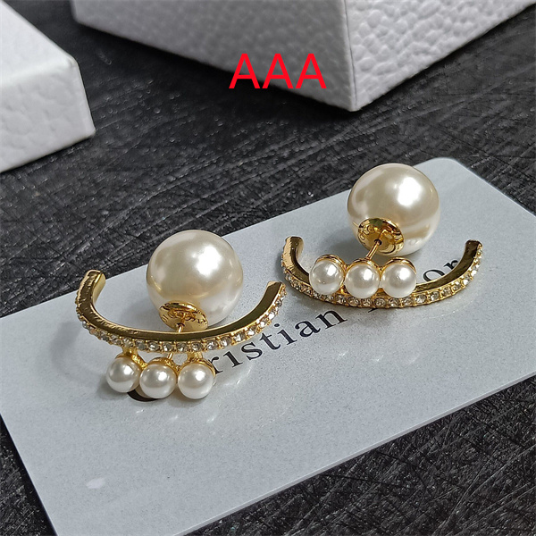 Dior Earrings-146