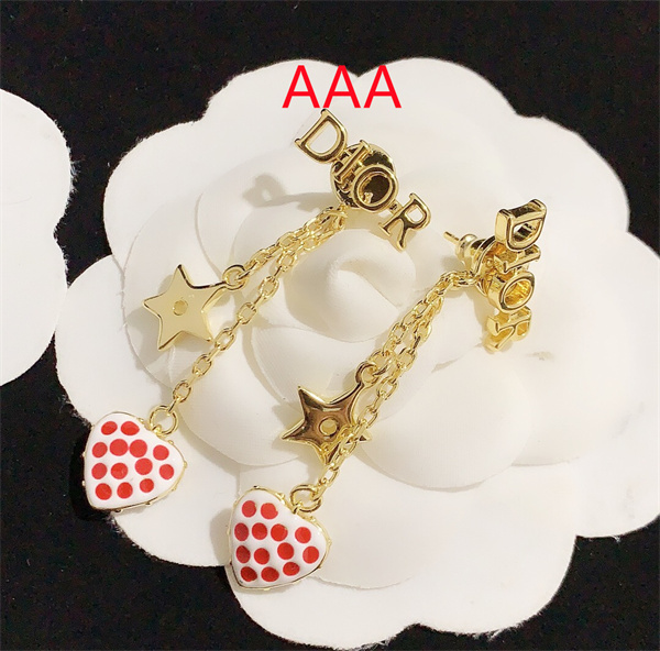 Dior Earrings-154
