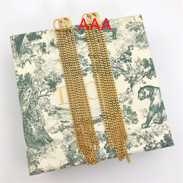 Dior Earrings-017
