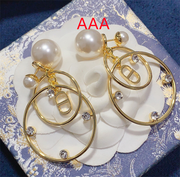 Dior Earrings-182
