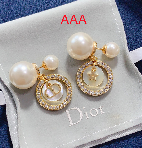 Dior Earrings-191