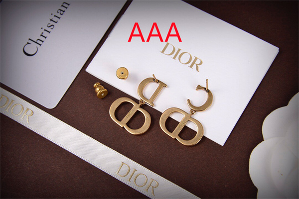 Dior Earrings-199