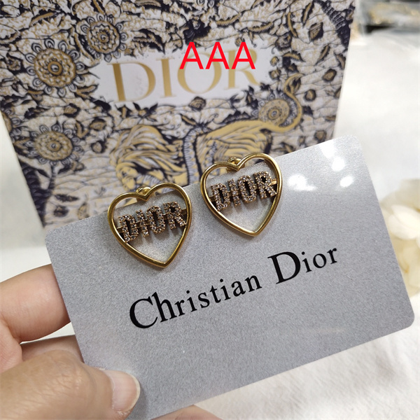 Dior Earrings-203