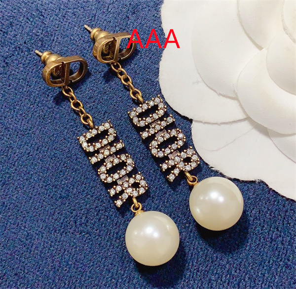 Dior Earrings-211
