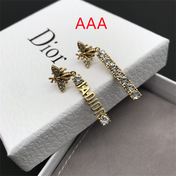 Dior Earrings-222