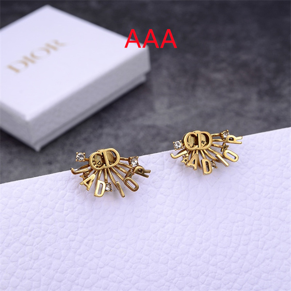 Dior Earrings-224