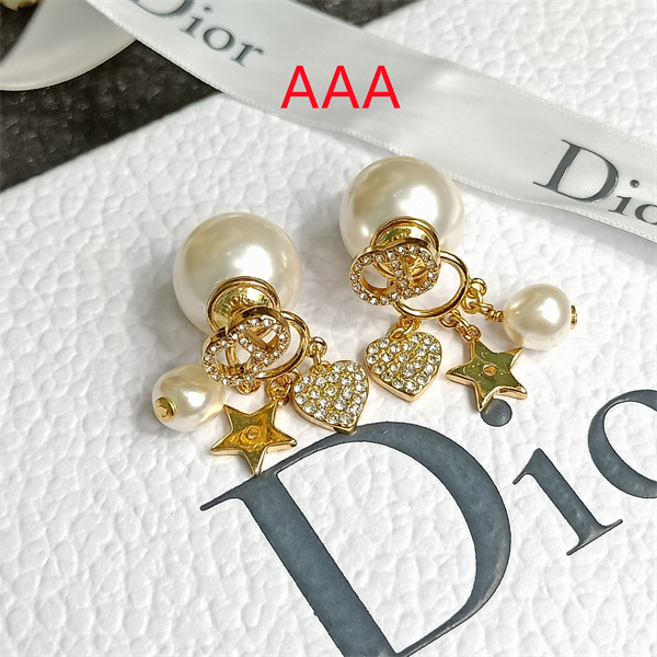 Dior Earrings-225