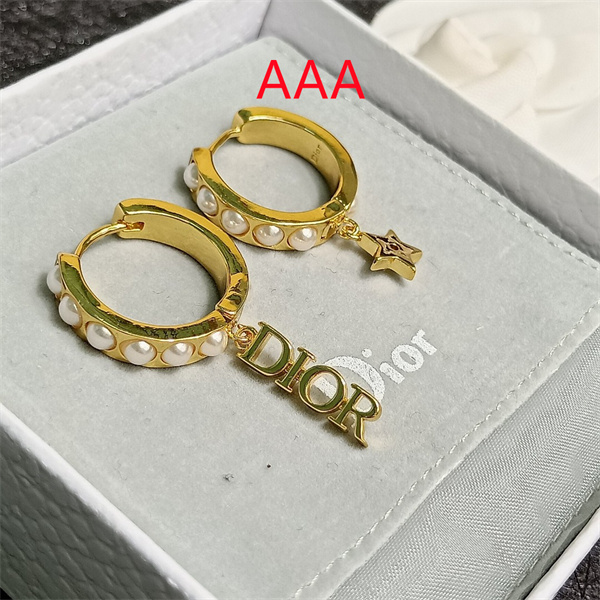 Dior Earrings-232