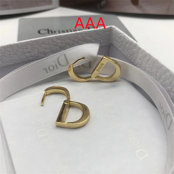 Dior Earrings-235