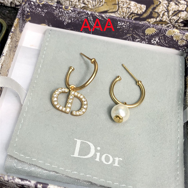 Dior Earrings-238