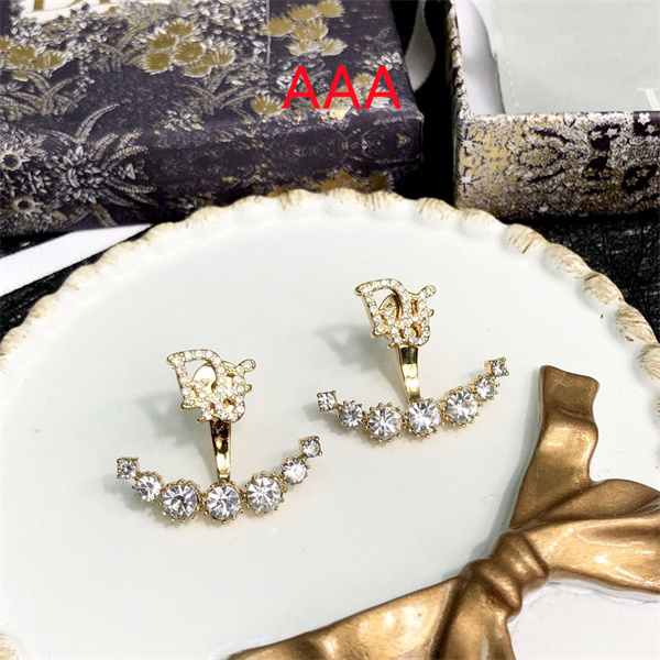 Dior Earrings-242