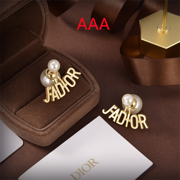 Dior Earrings-244