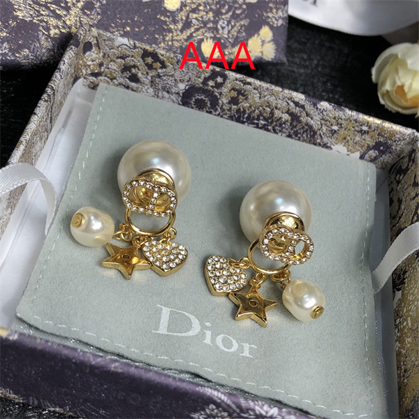 Dior Earrings-246