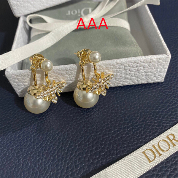 Dior Earrings-253