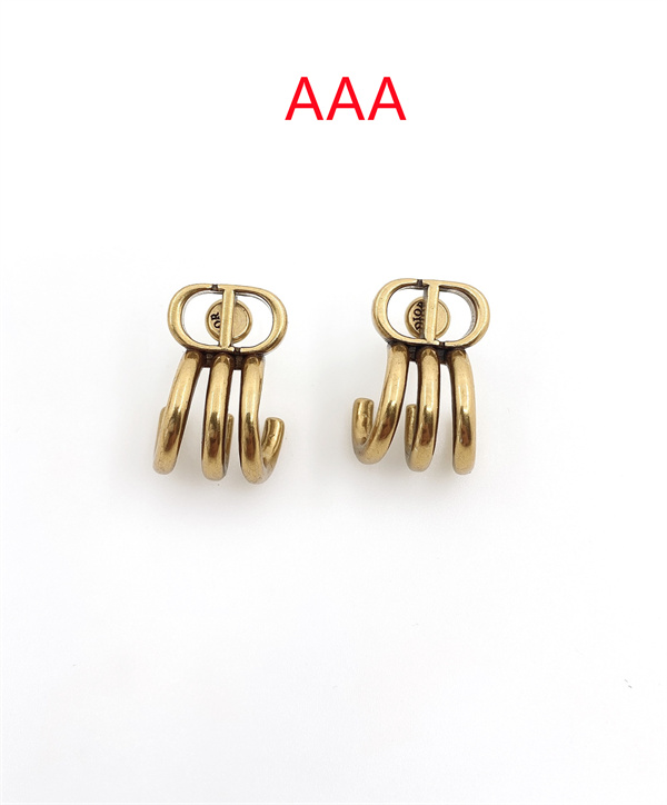 Dior Earrings-258
