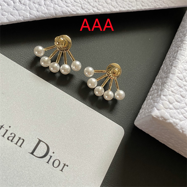 Dior Earrings-262