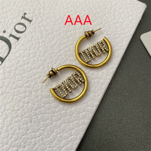 Dior Earrings-266