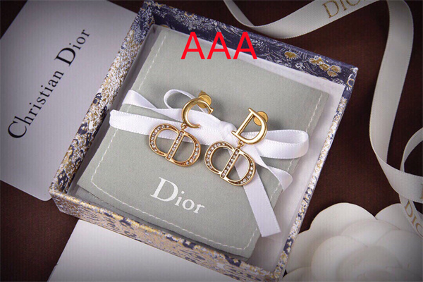 Dior Earrings-268