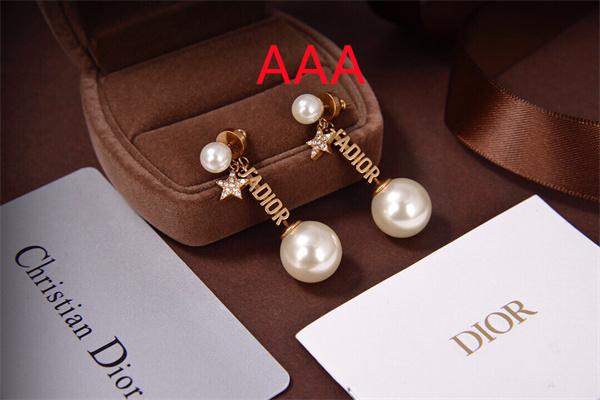 Dior Earrings-269