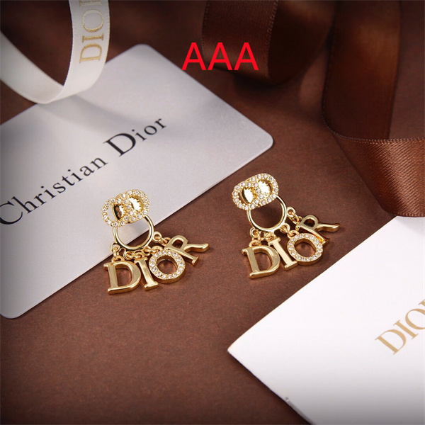 Dior Earrings-276