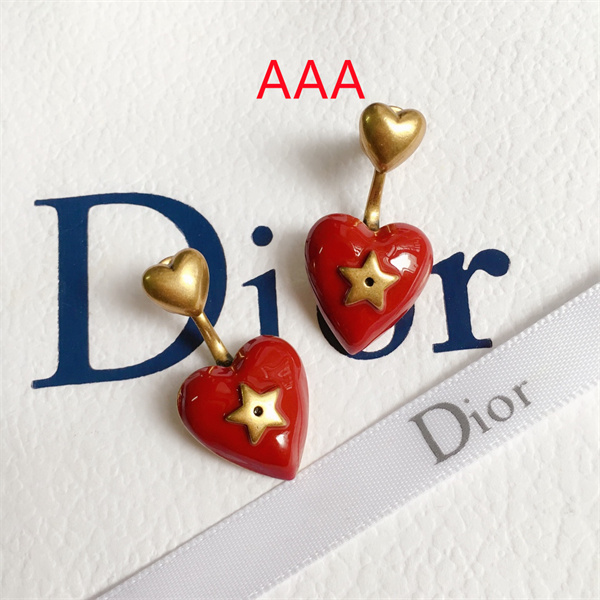 Dior Earrings-028