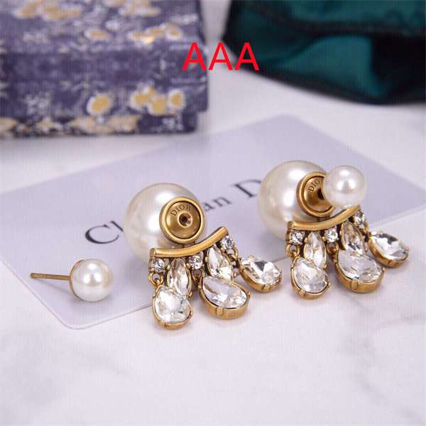 Dior Earrings-281