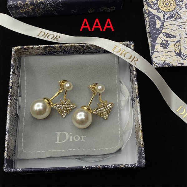 Dior Earrings-284