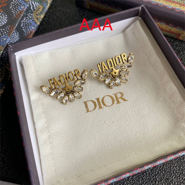 Dior Earrings-285