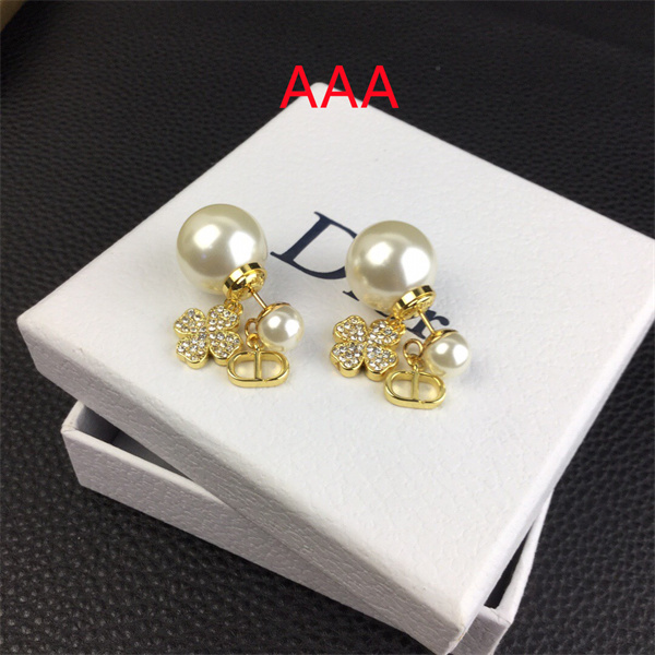 Dior Earrings-290