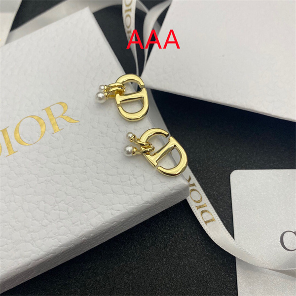 Dior Earrings-293